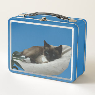 Buzón de gato siamés