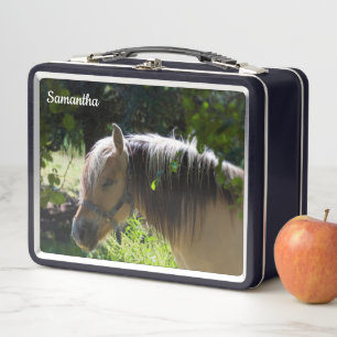 Buzón Metalizado de caballos