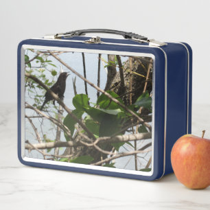 Buzón Metalizado de canto de pájaro