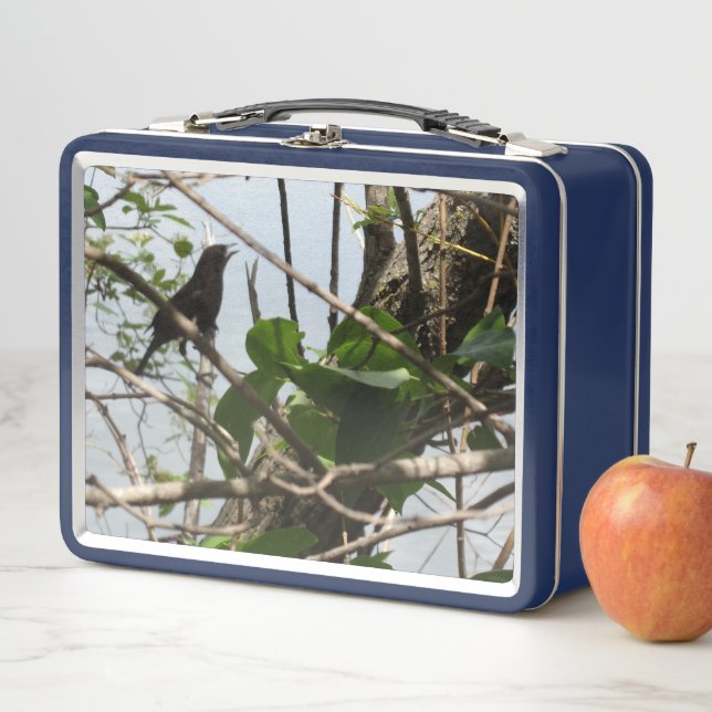 Buzón Metalizado de canto de pájaro (In situ)