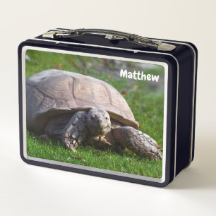 Buzón Metalizado de Tortoise