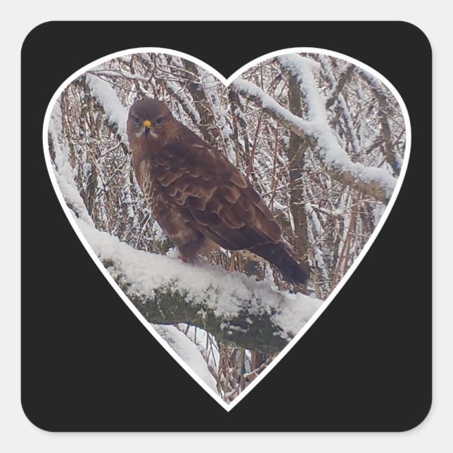Buzzard en rama nevada en Pegatina cardíaco (Anverso)