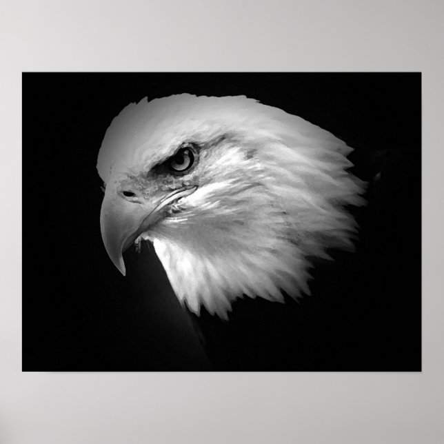 BW American Bald Eagle Poster Print Eagles Posters (Frente)