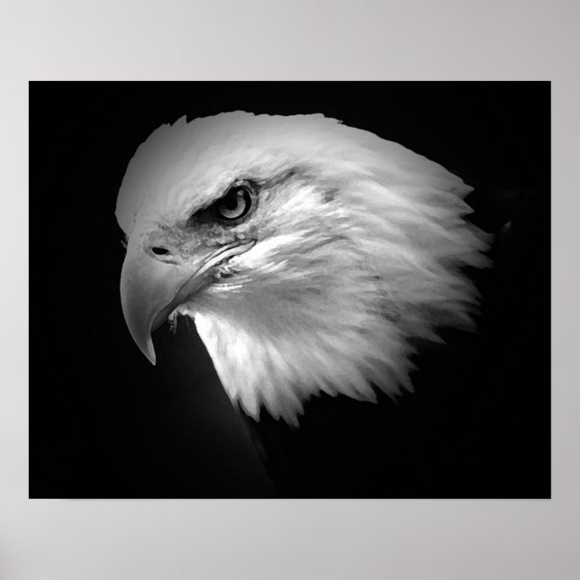 BW American Bald Eagle Poster Print Eagles Posters (Frente)