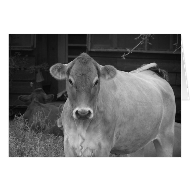 bw_cow (Anverso (Horizontal))