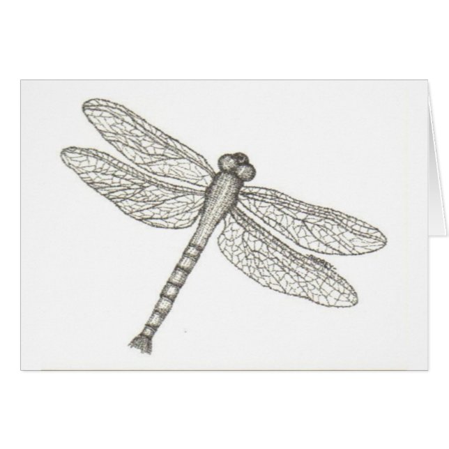 bw_dragonfly05 001 (Anverso (Horizontal))