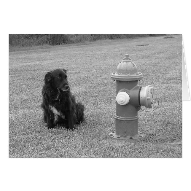 bw_su_turno (Anverso (Horizontal))