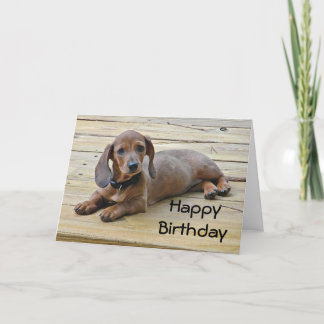 BW- Tarjeta de cumpleaños de dachshund puppy
