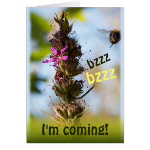 ¡Bzzz, voy! CC0764 Loosestrife & Bumblebee