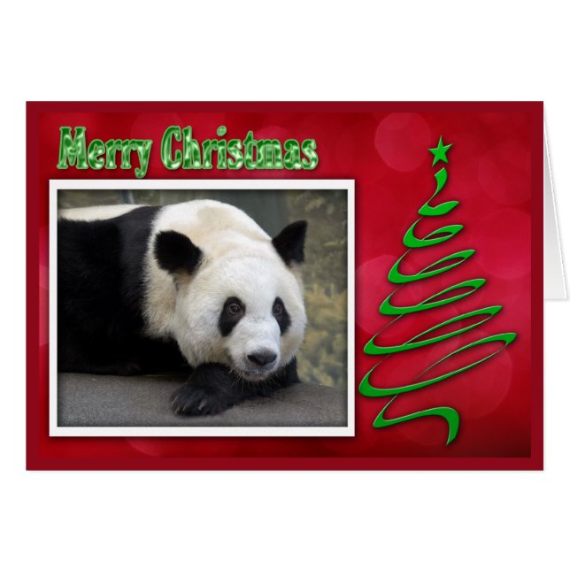 c-2011-panda-0059 (Anverso (Horizontal))