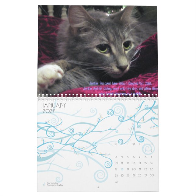 C.A.T.S. Calendario 2009 (Jan 2027)