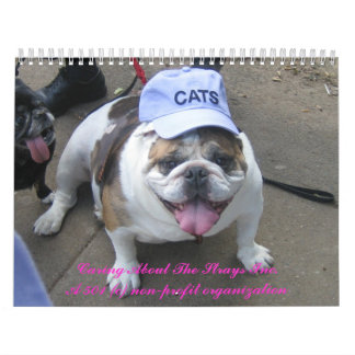 C.A.T.S. Calendario 2009
