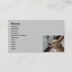 CA tarjetas de visita del mascota que se sientan