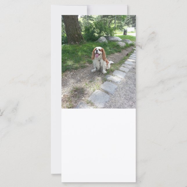 caballería (Anverso)