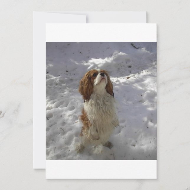 caballería en la nieve (Anverso)