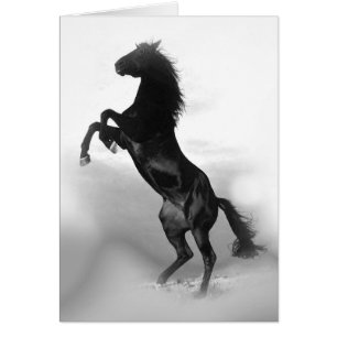 Caballo