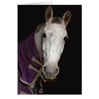 Caballo