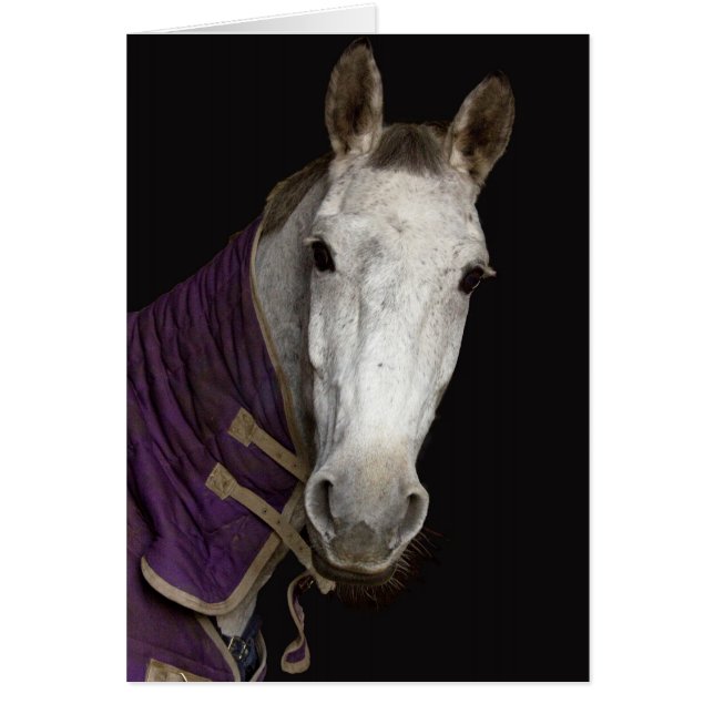 Caballo (Frente)