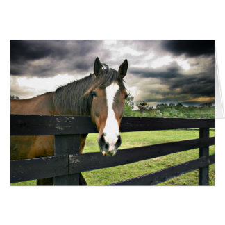 Caballo