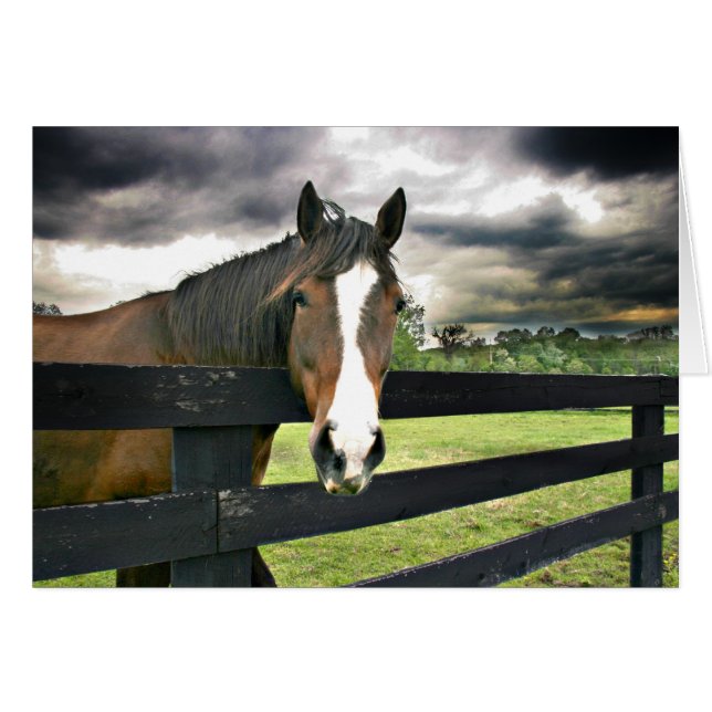 Caballo (Anverso (Horizontal))
