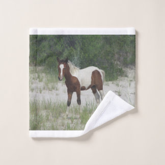 Caballo