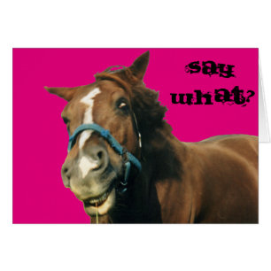 Caballo