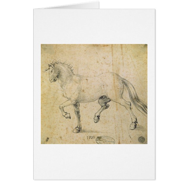 Caballo, 1503 (pluma y tinta en el papel) (Frente)