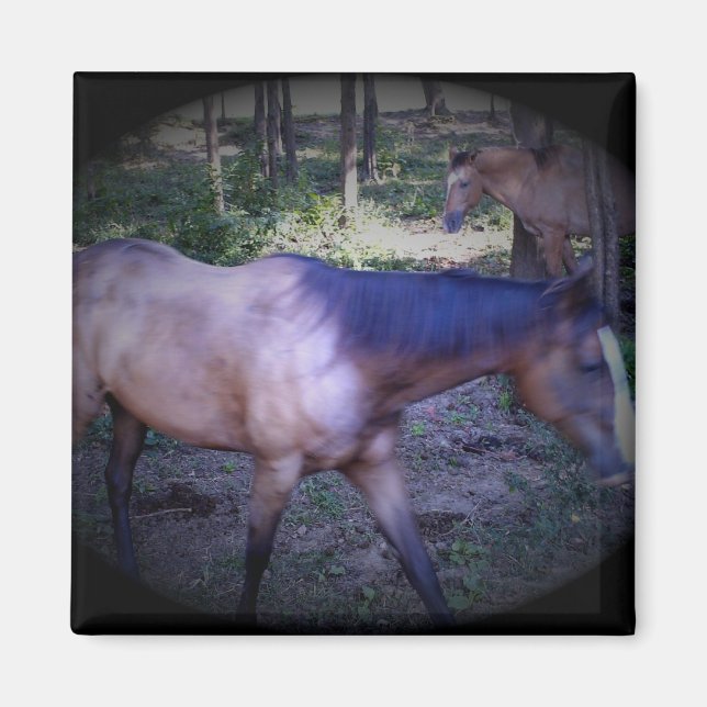 Caballo 2 imán (Frente)