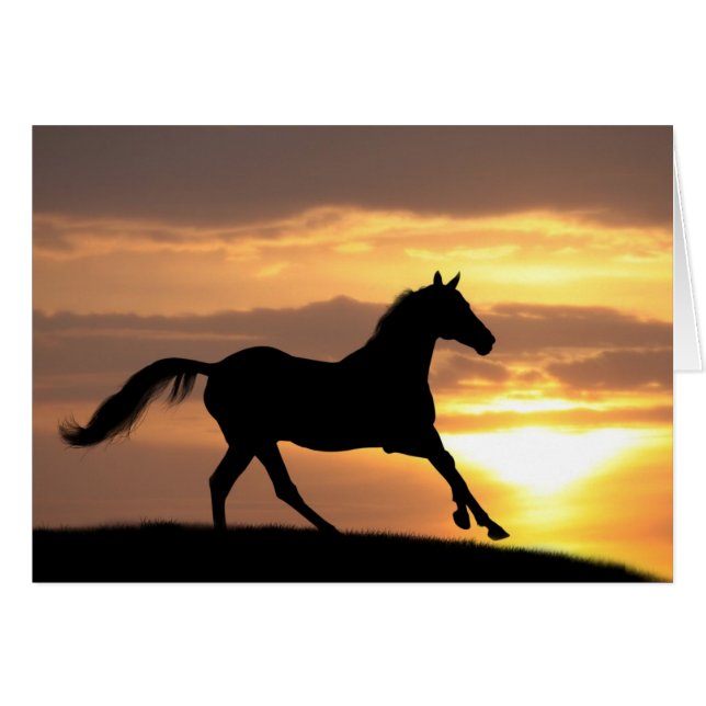 Caballo al atardecer (Anverso (Horizontal))