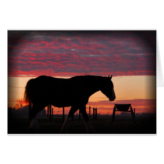 Caballo al atardecer (Anverso (Horizontal))