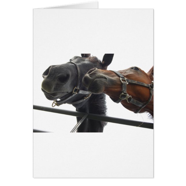 Caballo alrededor (Frente)