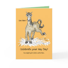 Caballo alrededor de la tarjeta de cumpleaños