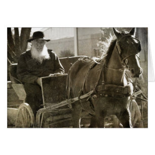 Caballo Amish Estando Silencioso Con La Lengua Atr