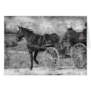 Caballo Amish sin trompa en blanco y negro