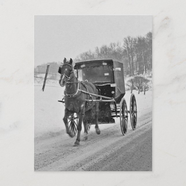 Caballo Amish y Buggy 3 postales (Anverso)
