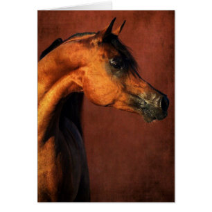 Caballo Árabe de la Bahía