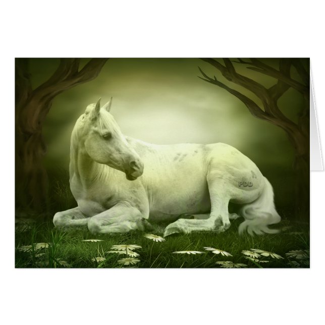 Caballo Árabe Gris (Anverso (Horizontal))