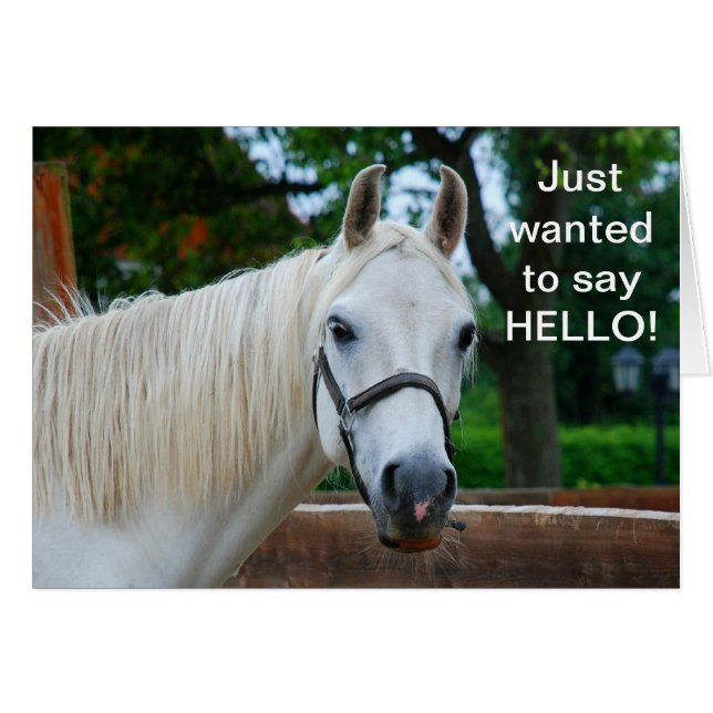 Caballo blanco (Anverso (Horizontal))