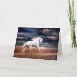 Caballo blanco al atardecer en la tarjeta de felic