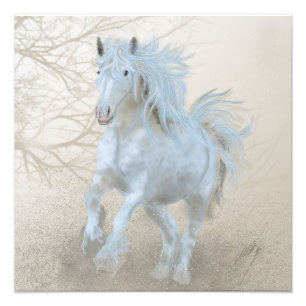 Caballo blanco - Ampliación de la foto