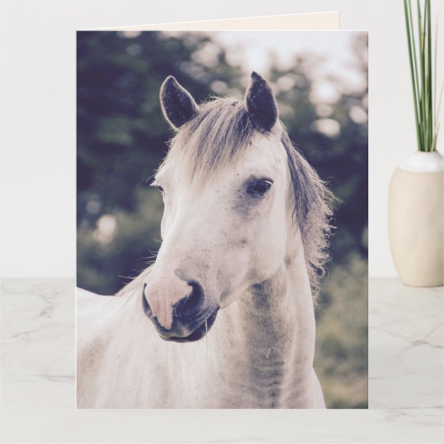 CABALLO BLANCO BIEN BIEN PRONTO Tarjetas de felici (Anverso)