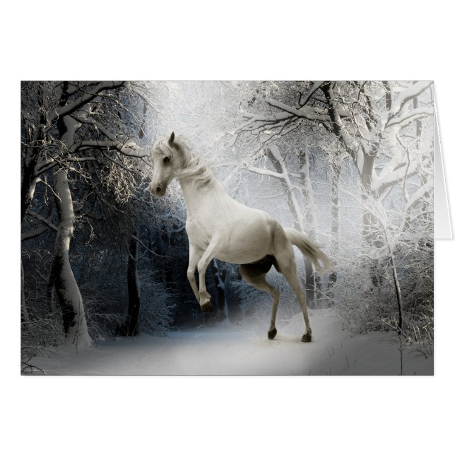 Caballo blanco con nieve (Anverso (Horizontal))
