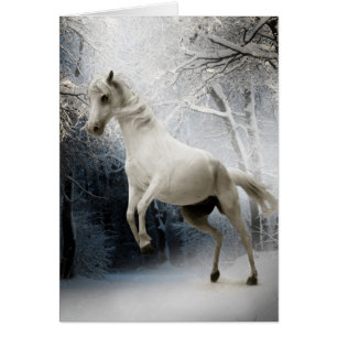 Caballo blanco con nieve