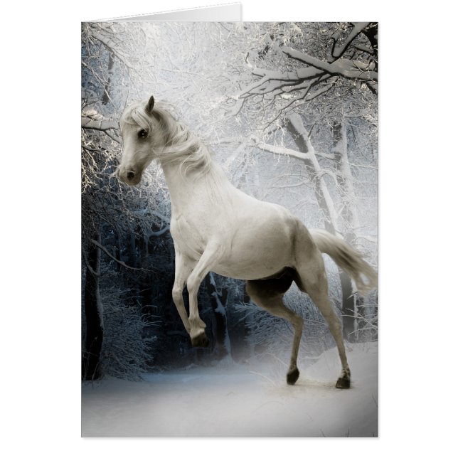 Caballo blanco con nieve (Frente)