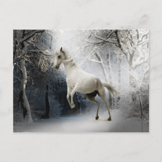 Caballo blanco en nevada postal de invierno