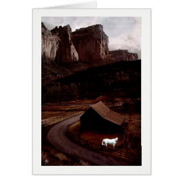 Caballo blanco en un cañón pintado