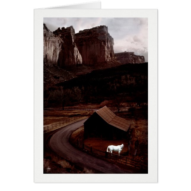 Caballo blanco en un cañón pintado (Frente)