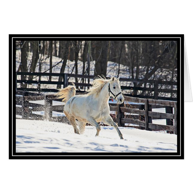 Caballo blanco galopante (Anverso (Horizontal))