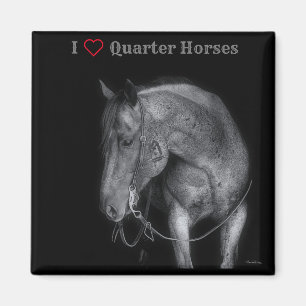 Caballo blanco y negro de imán