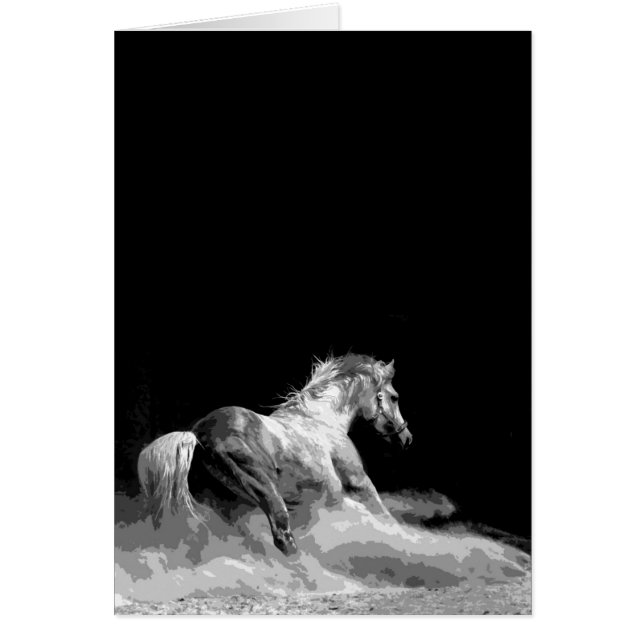 Caballo blanco y negro en acción (Frente)